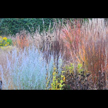 DE TUINEN VAN HOEGAARDEN herfstbeeld (2)